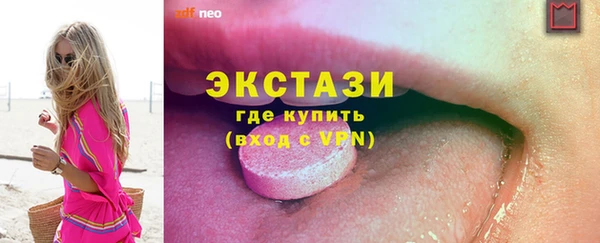 молекула духа Богданович