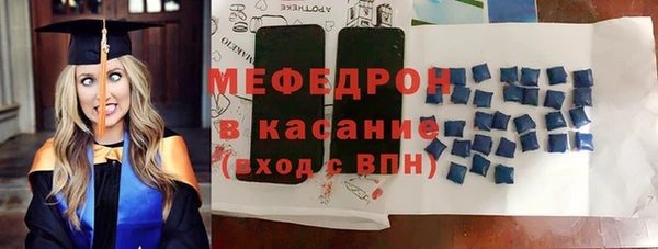 молекула духа Богданович