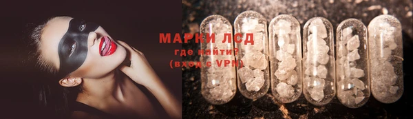 молекула духа Богданович