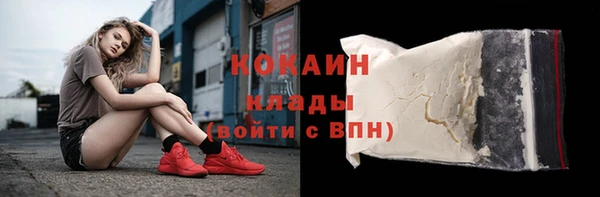 молекула духа Богданович