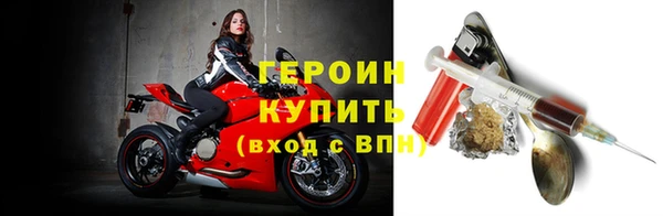 молекула духа Богданович