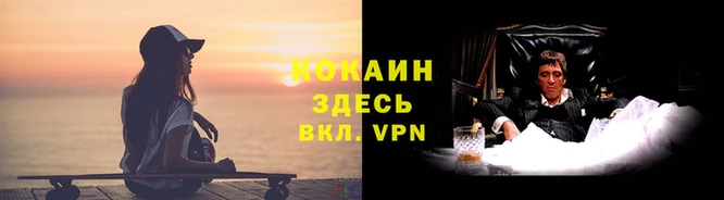 прущие крисы Богородск