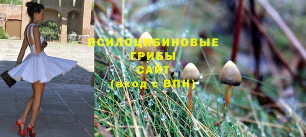 каннабис Богородицк