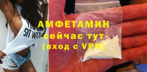 молекула духа Богданович
