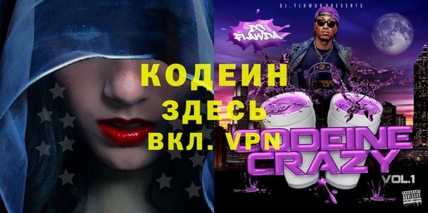 молекула духа Богданович