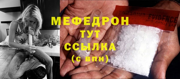молекула духа Богданович