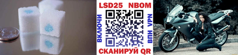 shop как зайти  Наволоки  Лсд 25 экстази кислота 