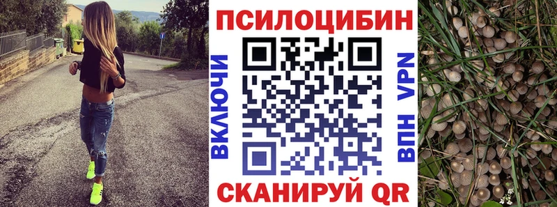 kraken вход  как найти закладки  Наволоки  Галлюциногенные грибы Cubensis 